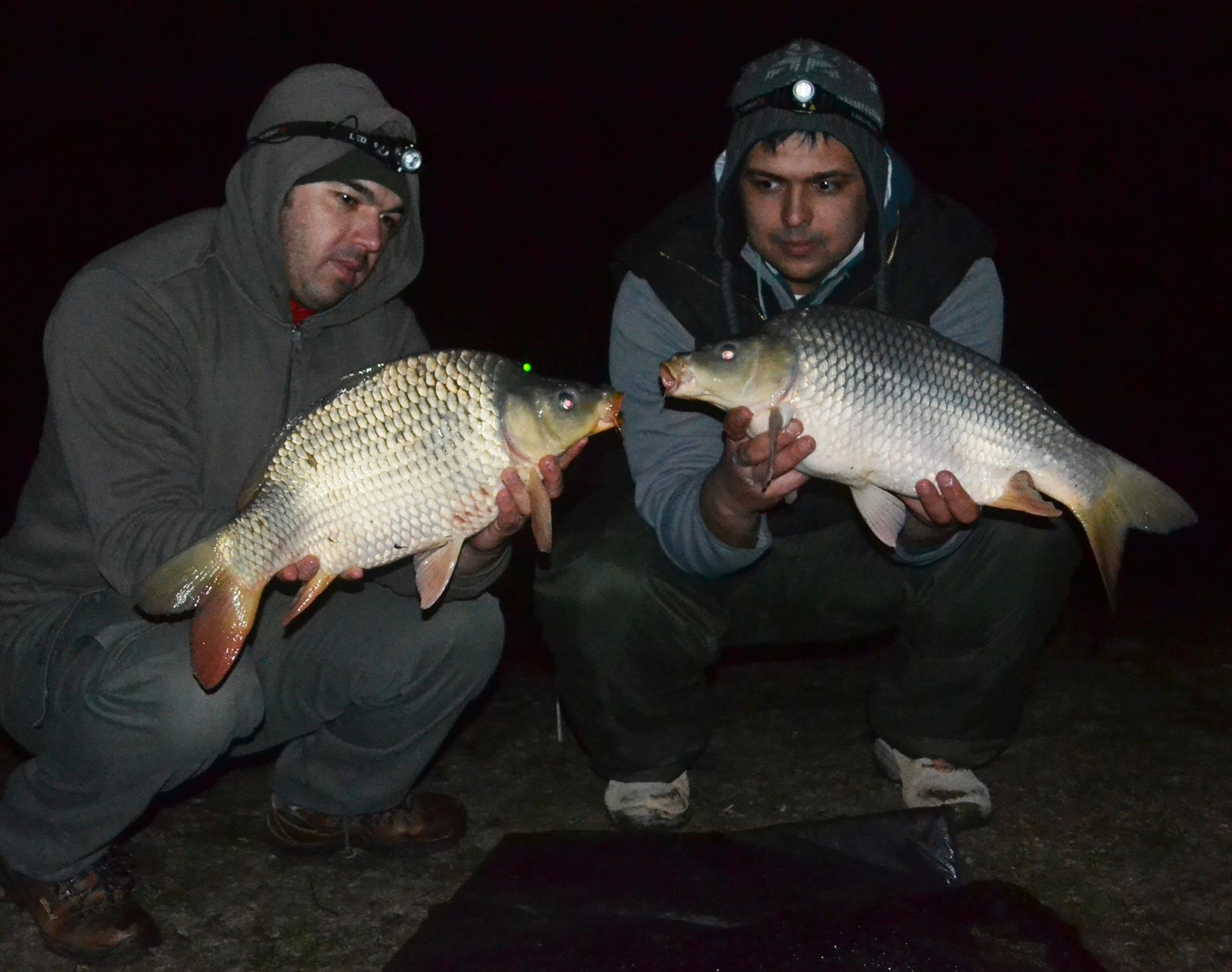 Greaca Cercani 14 - 15 mar.